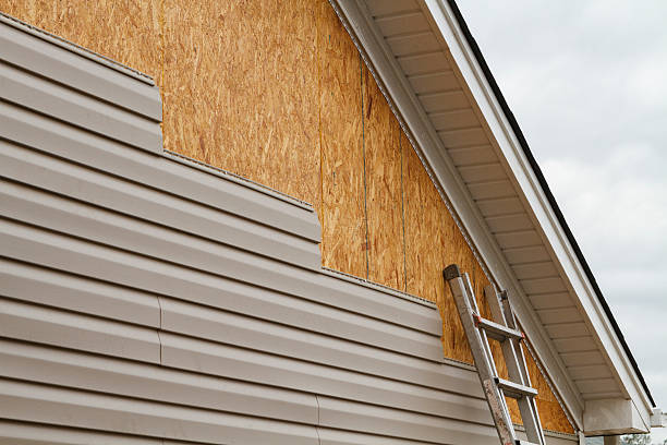 Best Insulated Siding Installation  in USA